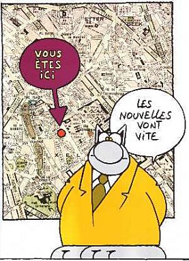 Le chat - Vous êtes ici !