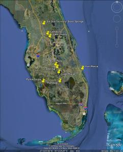 Tourists_google_earth