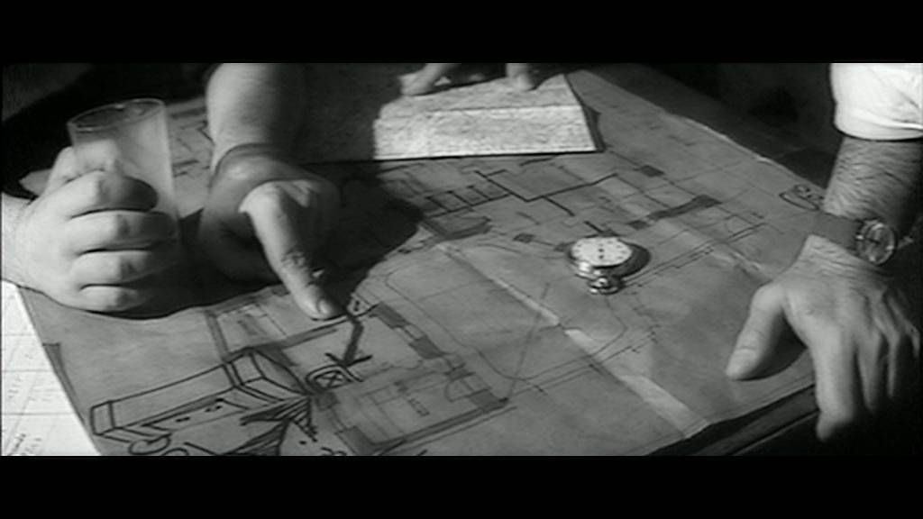 La métamorphose des cloportes