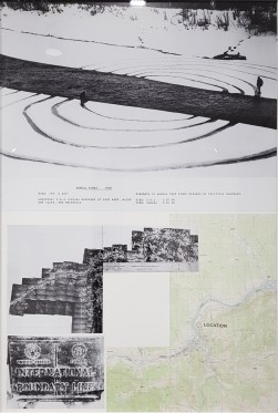 Annual rings, Dennis Oppenheim, 1968, MAMC+